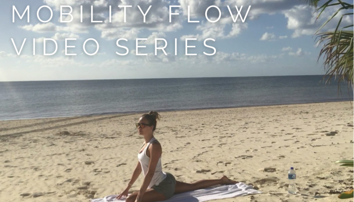 Mobility Flow Video Series