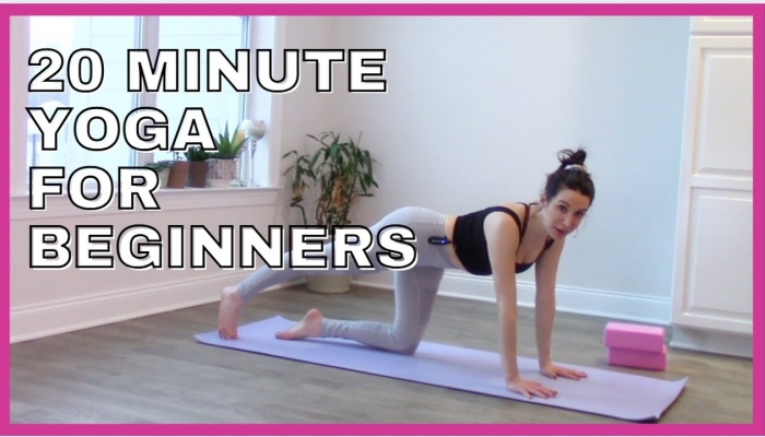 Vinyasa Yoga Beginner Series Part 2 - Full Body Flow