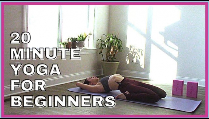 Vinyasa Yoga Beginner Series Part 4 - Full Body Flow